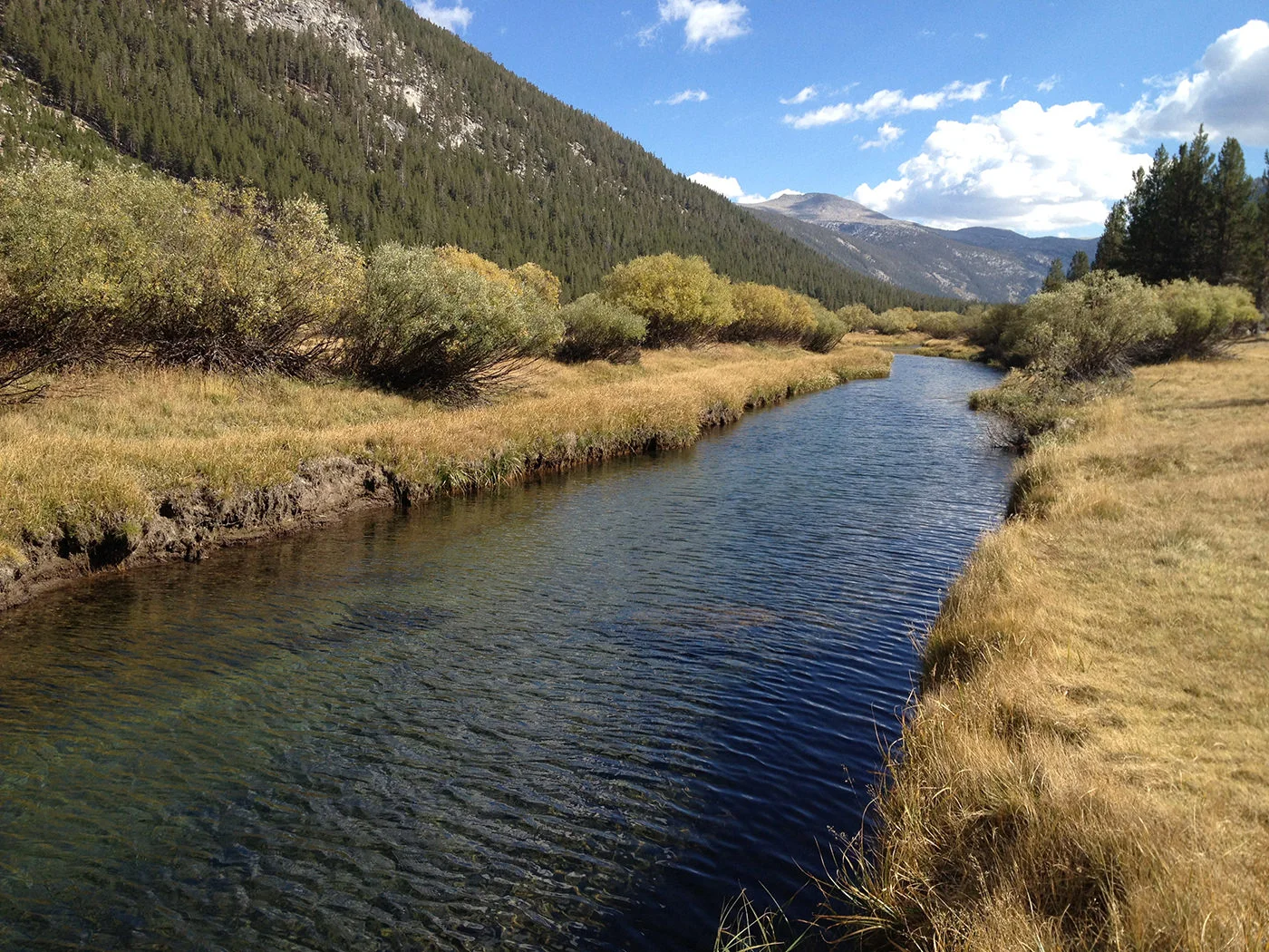 john-muir-trail-2012-1807.jpg