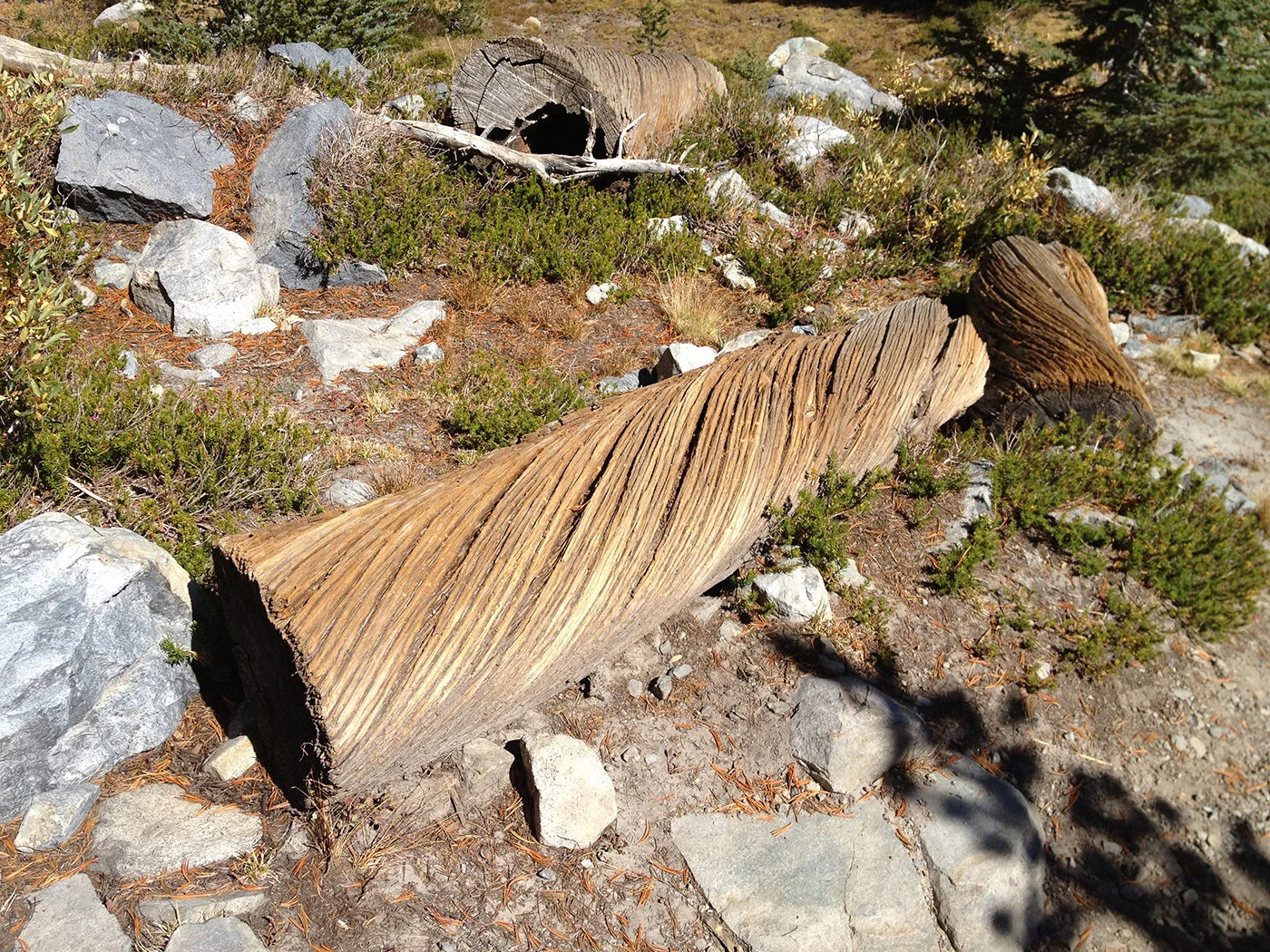 john-muir-trail-2012-1890.jpg