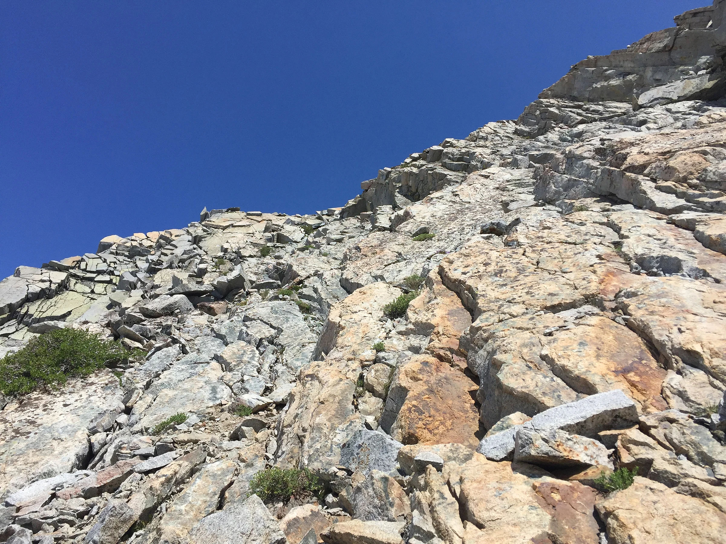 trailname-backstroke-sierra-high-route-2017_9873.jpg