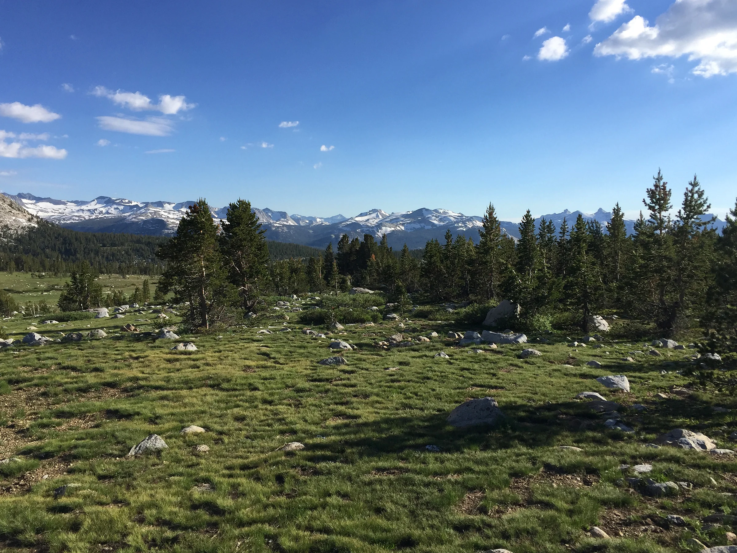trailname-backstroke-sierra-high-route-2017_9992.jpg