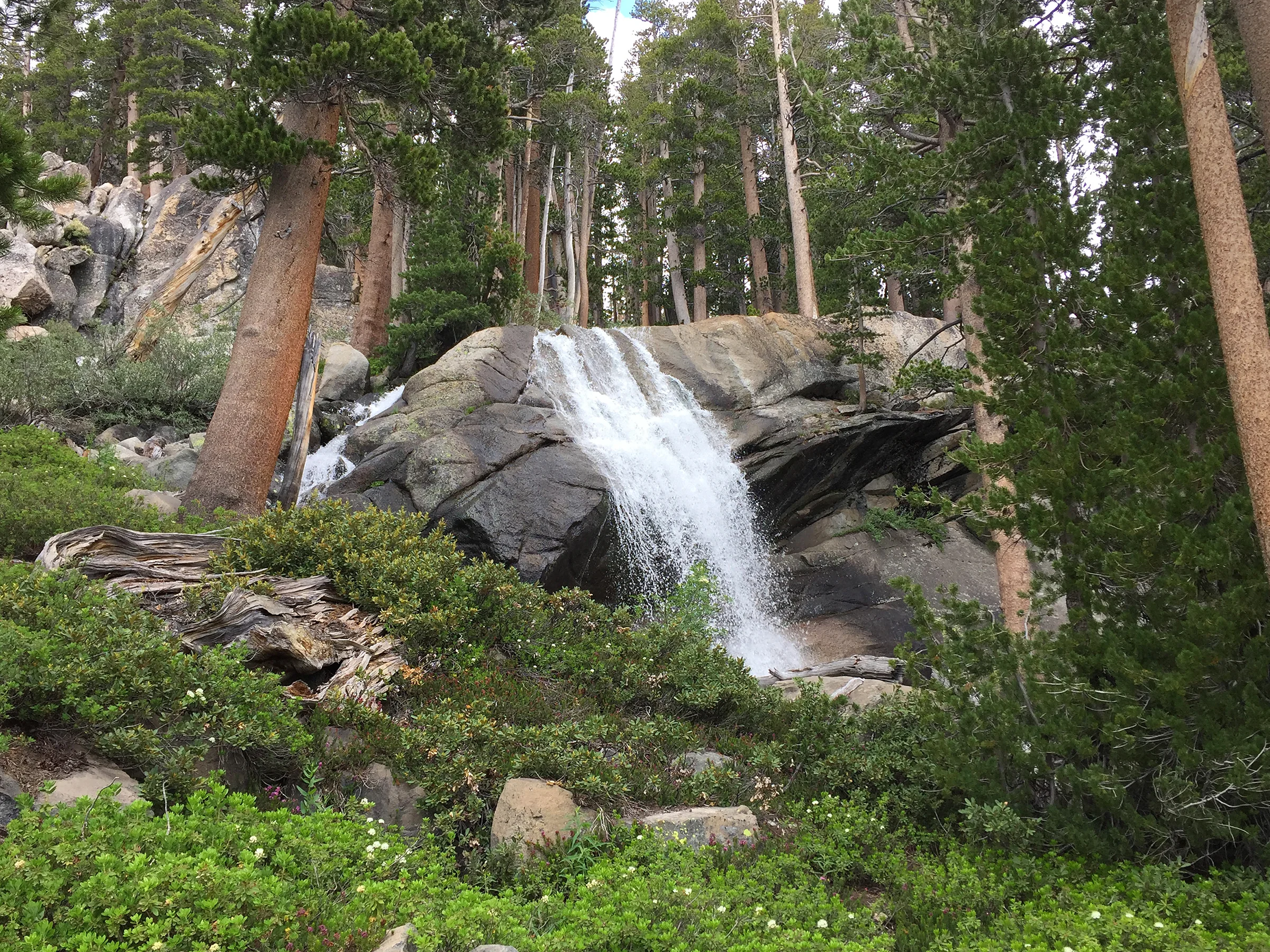 trailname-backstroke-sierra-high-route-2017_0098.jpg