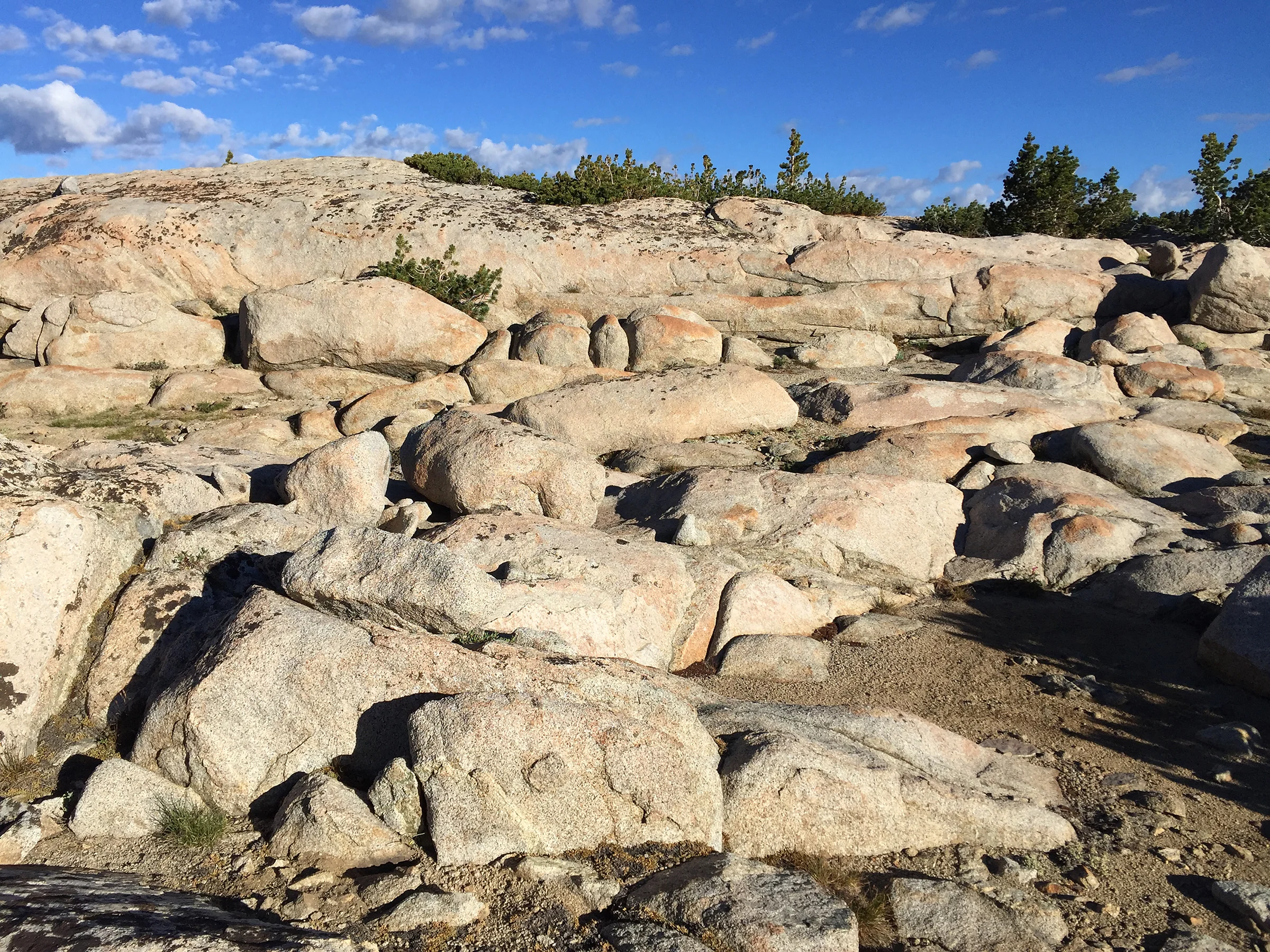 trailname-backstroke-sierra-high-route-2017_0133.jpg
