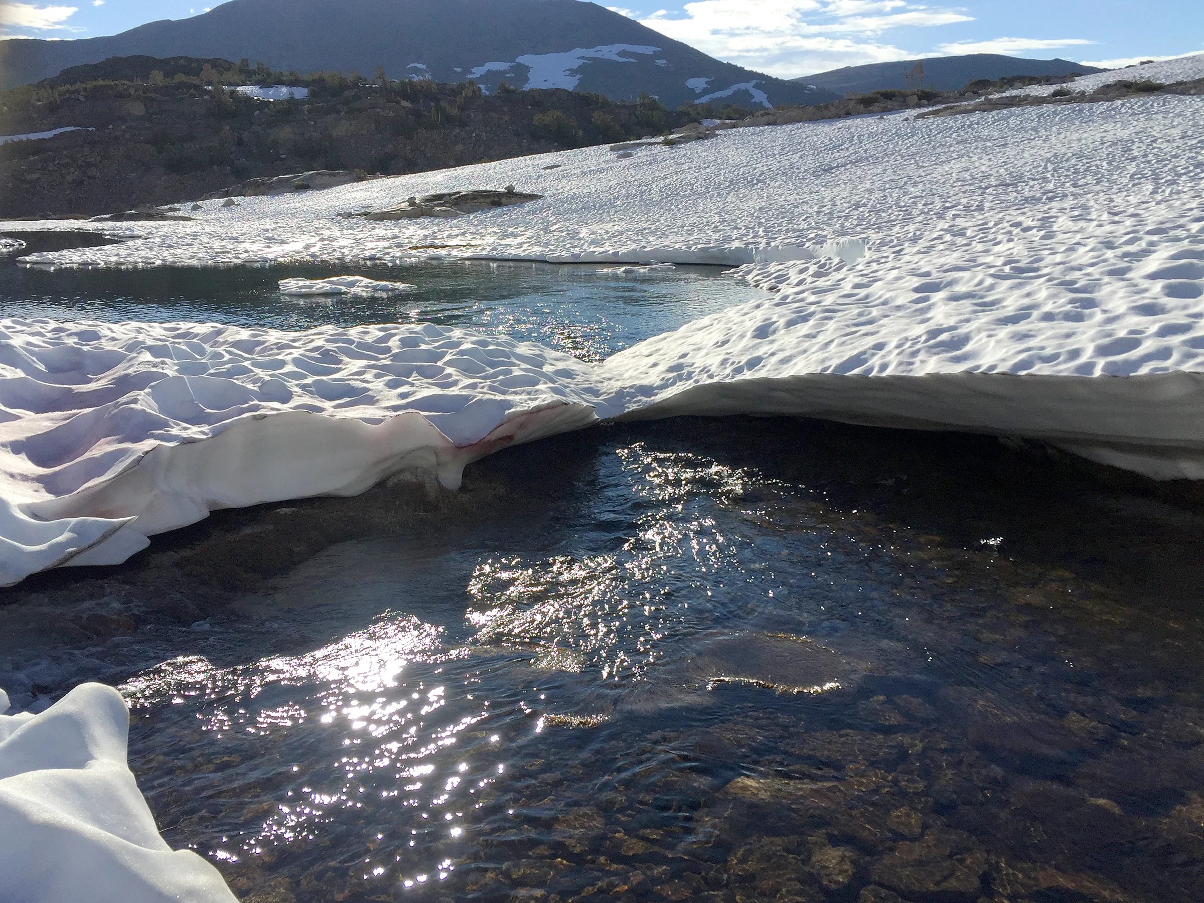 trailname-backstroke-sierra-high-route-2017_9948.jpg