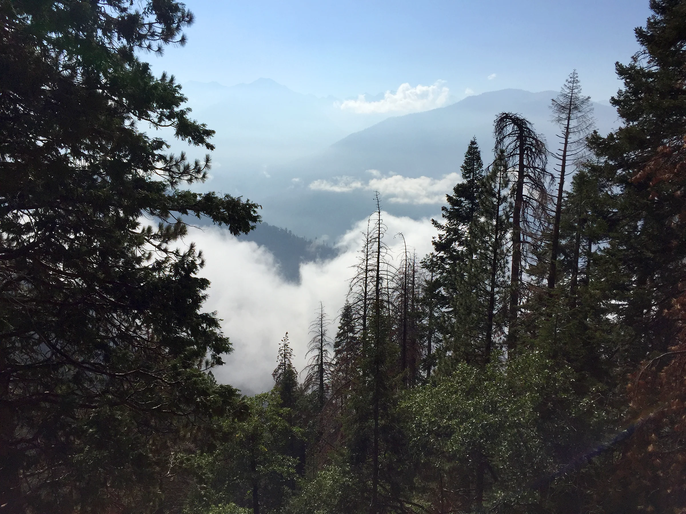 kaweah_basin_loop_2017_1196.jpg