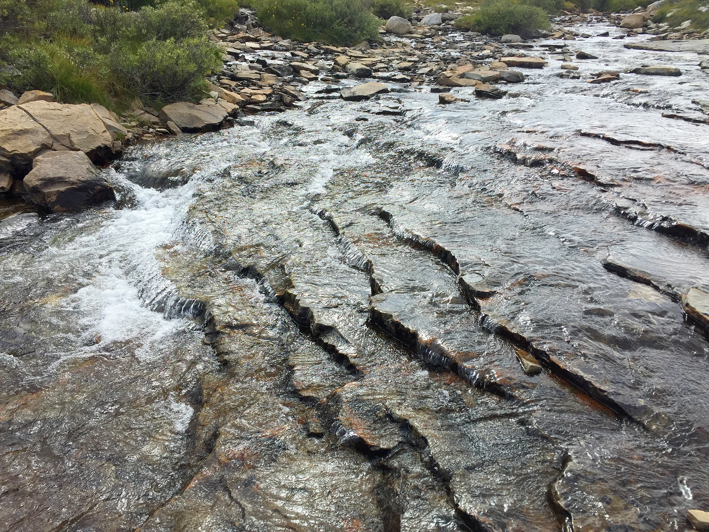 kaweah_basin_loop_2017_1363.jpg