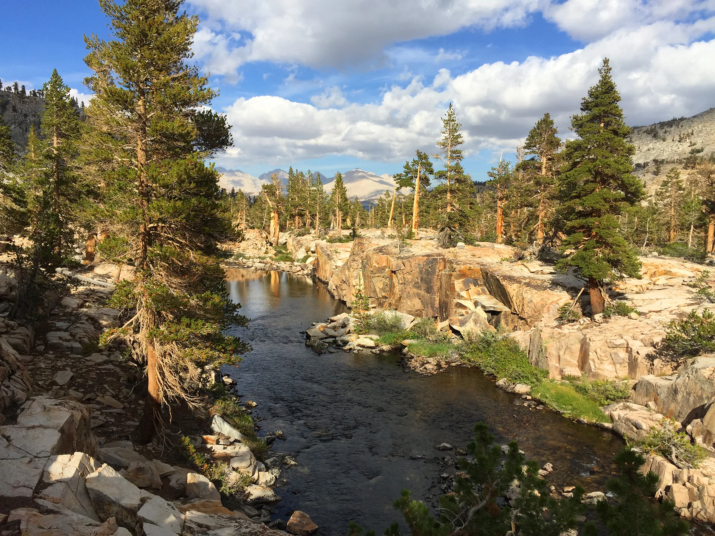 kaweah_basin_loop_2017_1383.jpg