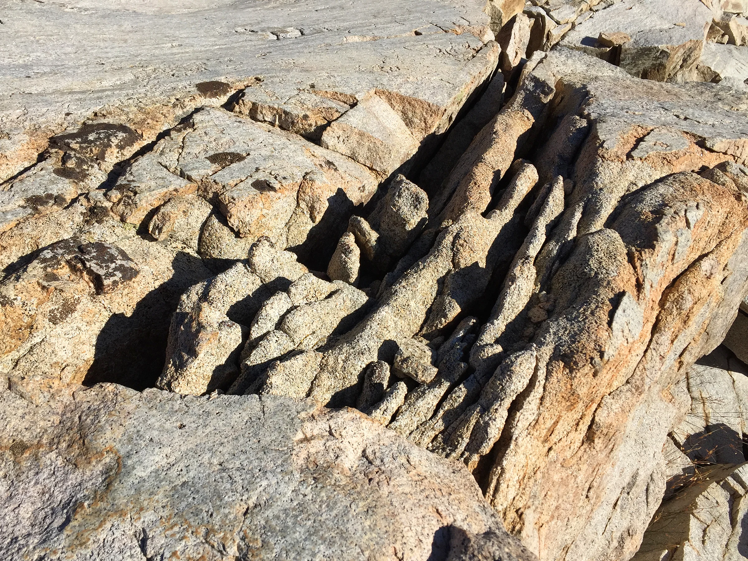kaweah_basin_loop_2017_1456.jpg
