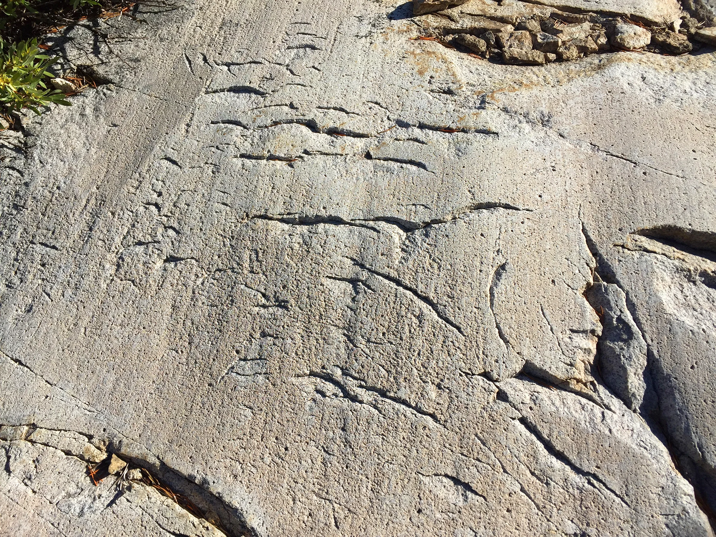 kaweah_basin_loop_2017_1458.jpg