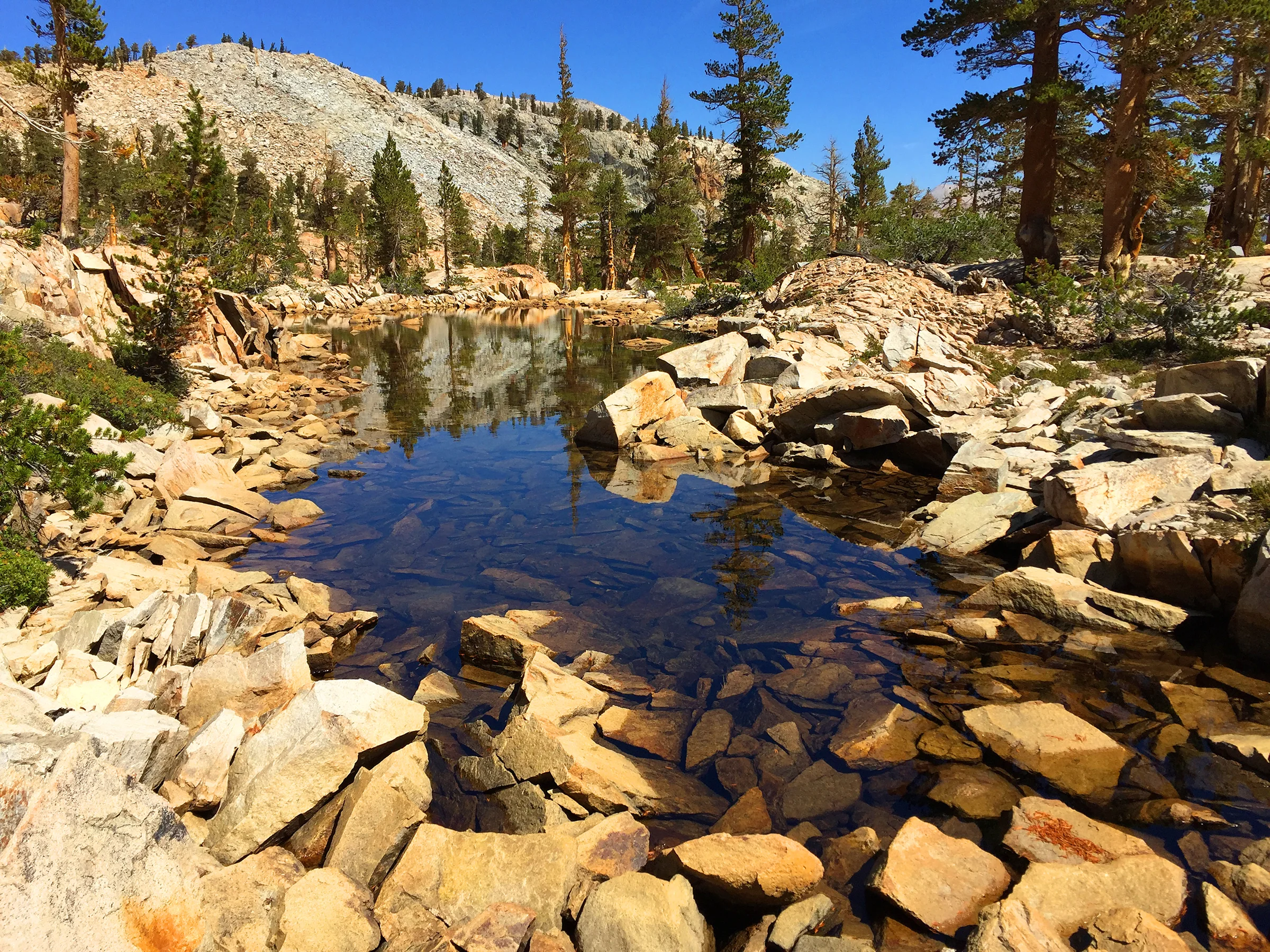 kaweah_basin_loop_2017_1477.jpg