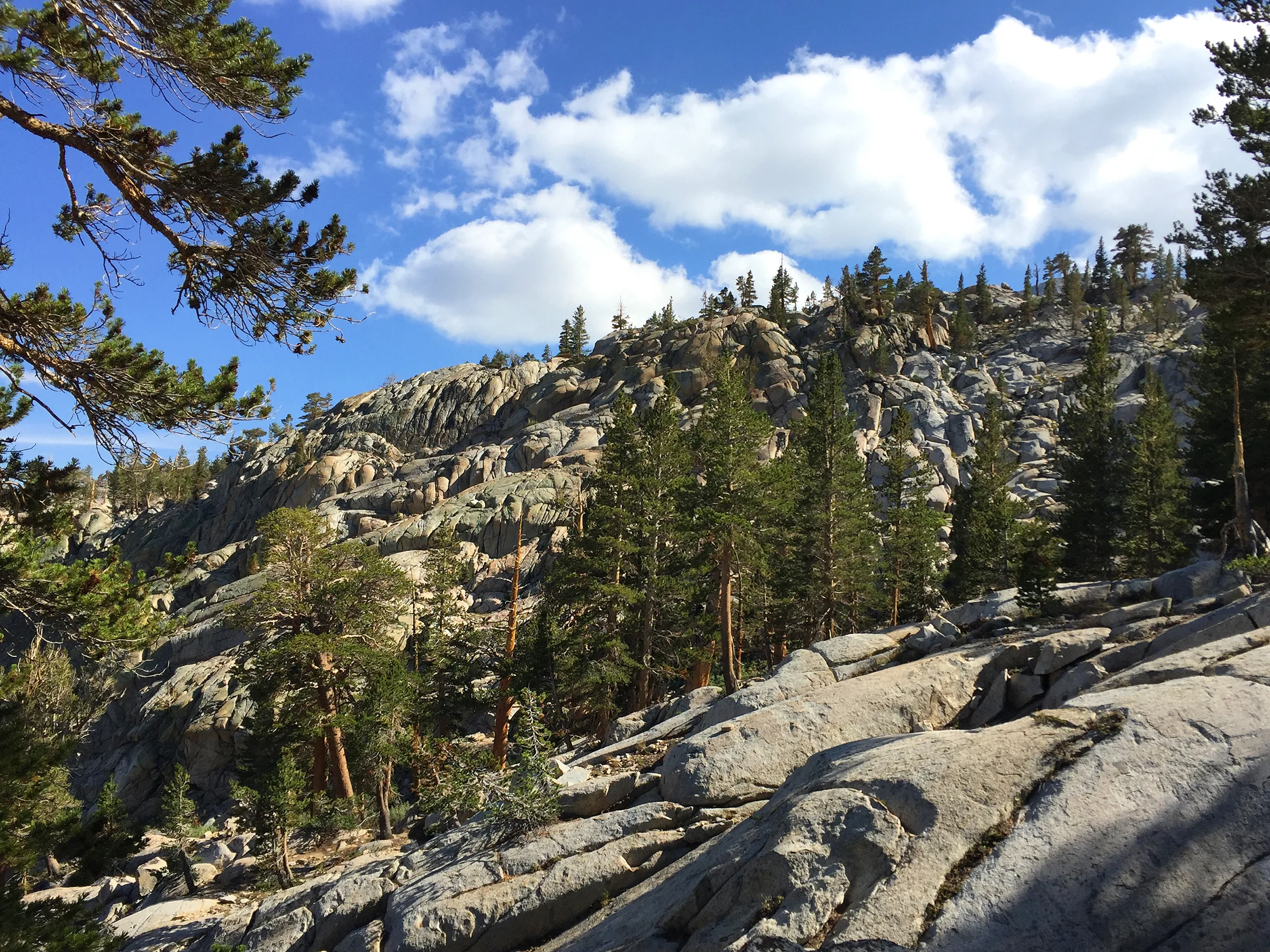 kaweah_basin_loop_2017_1507.jpg