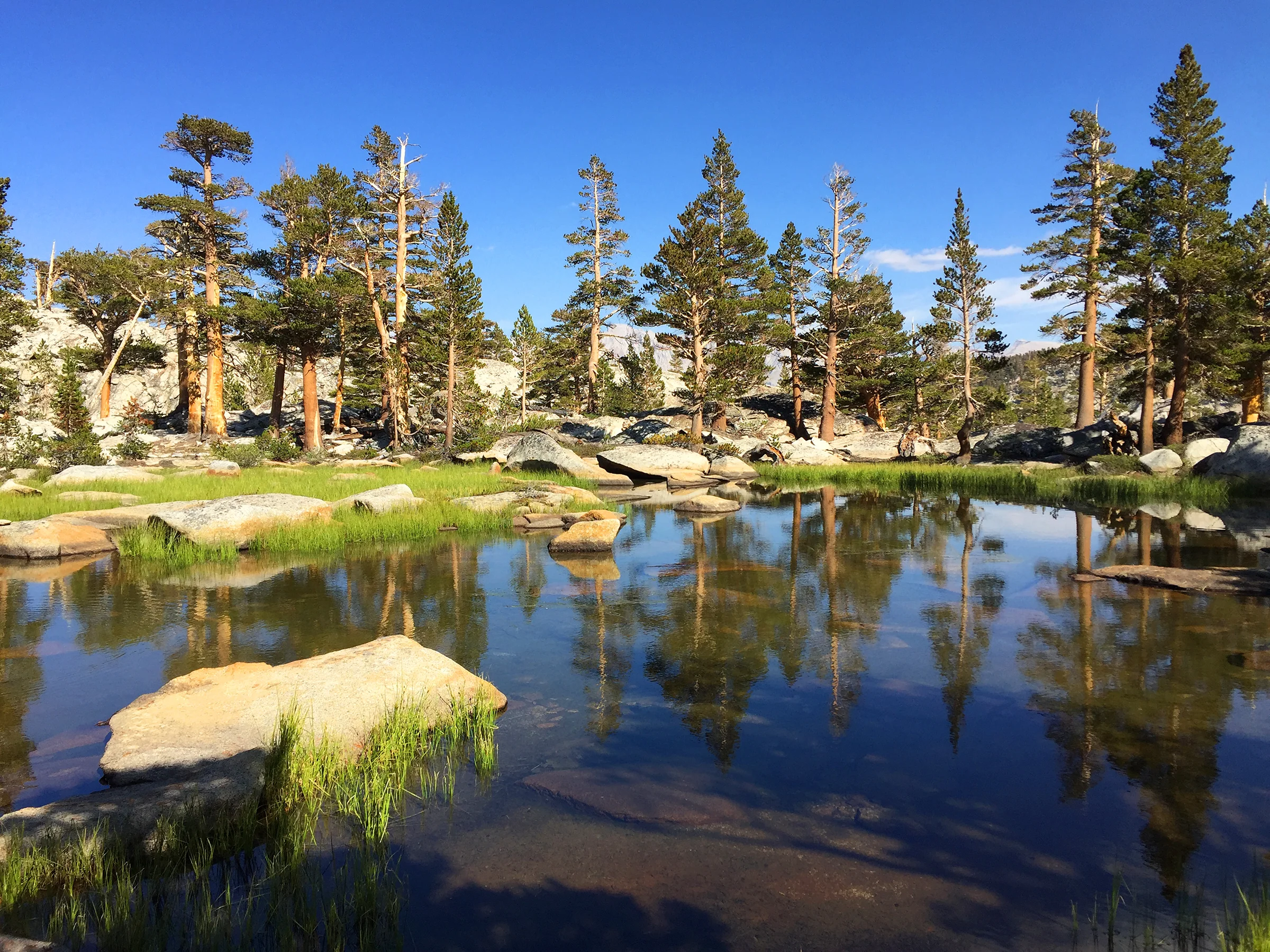 kaweah_basin_loop_2017_1513.jpg