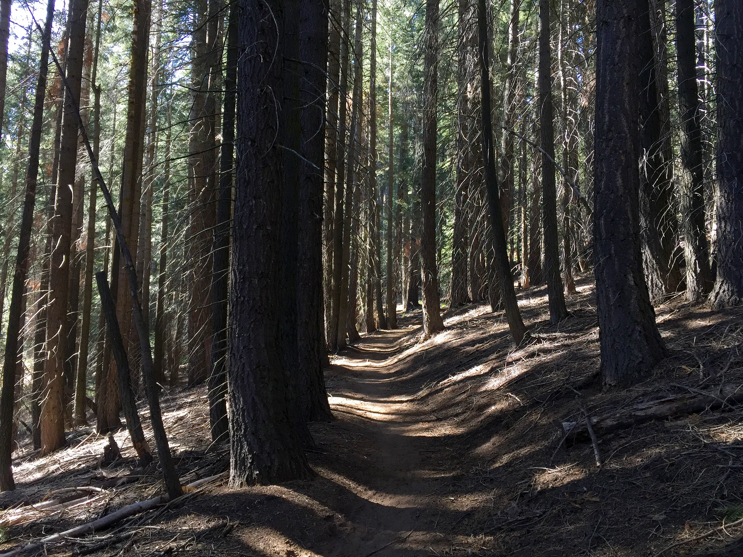 kaweah_basin_loop_2017_1788.jpg