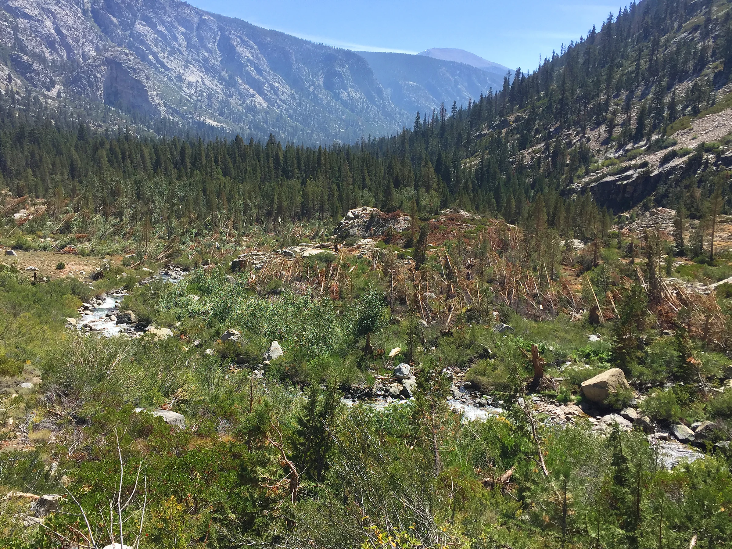kaweah_basin_loop_2017_1661.jpg