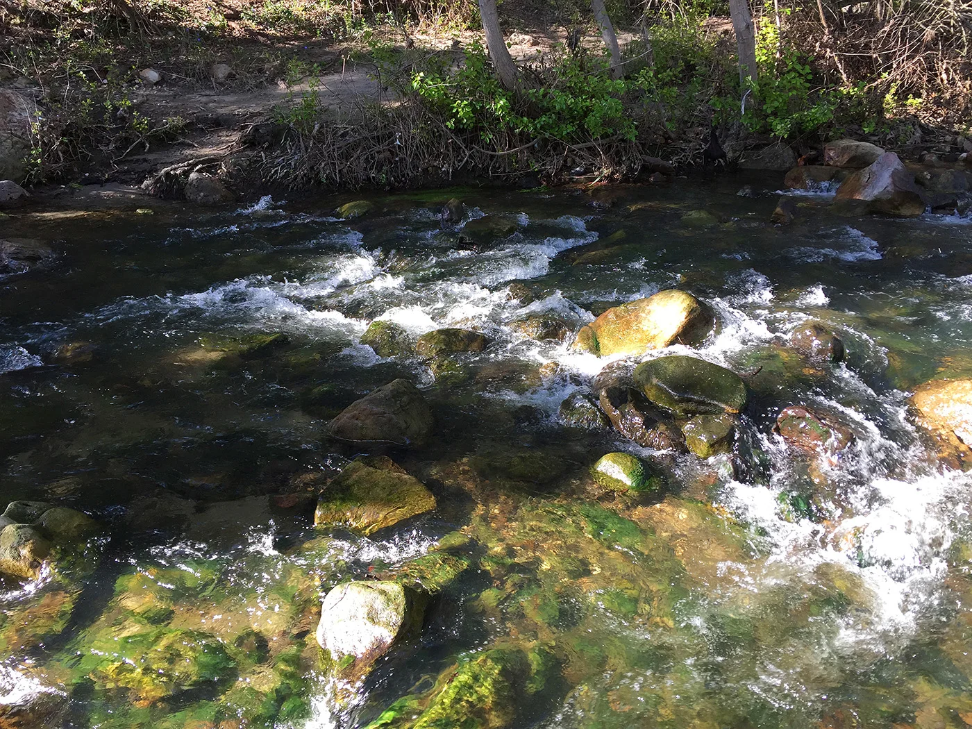 backbone-trail-trailnamebackstroke-3589.jpg