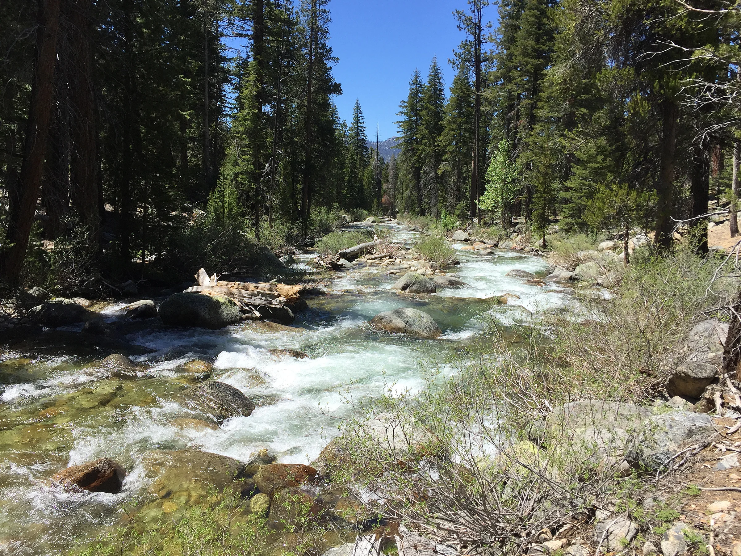 KCHBR_6211.jpg