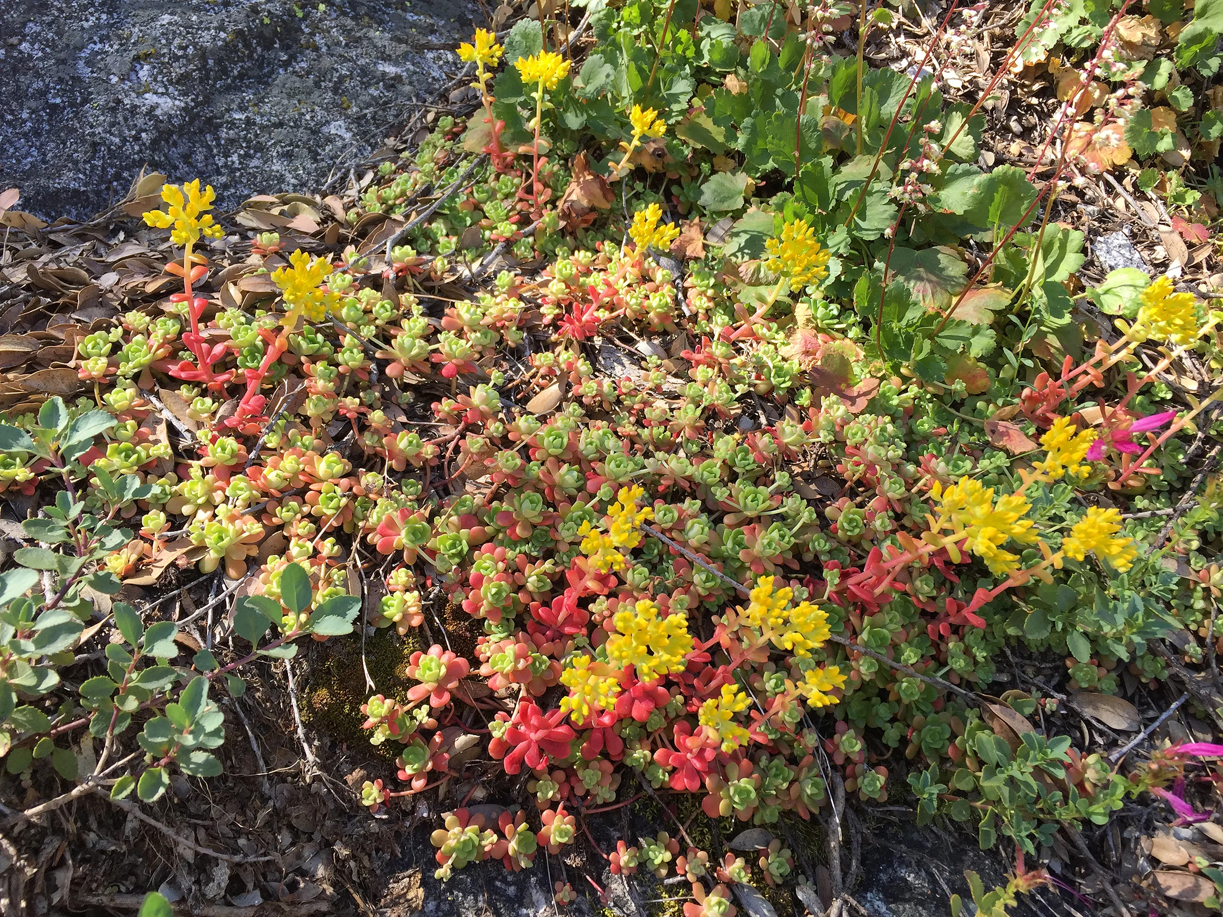 KCHBR_6242.jpg