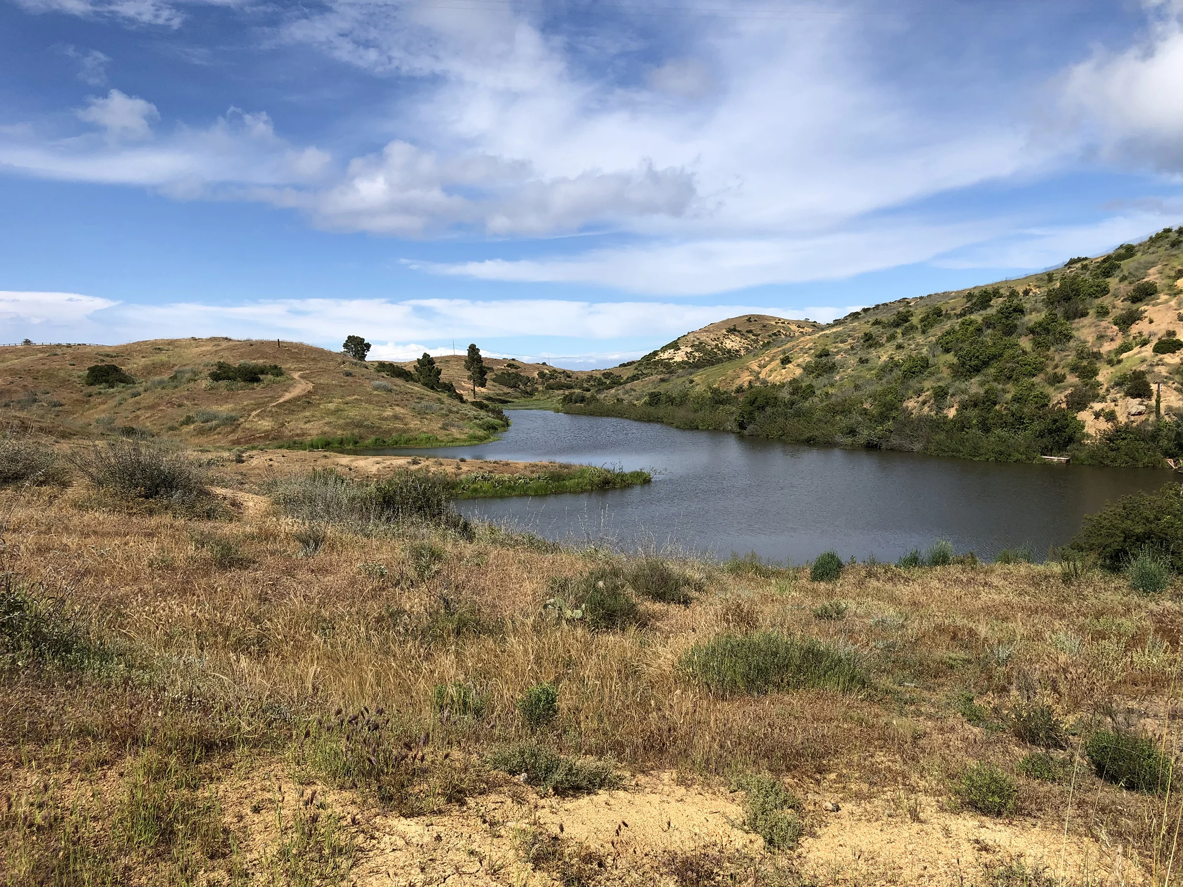 Trans-Catalina Trail-0779.jpg