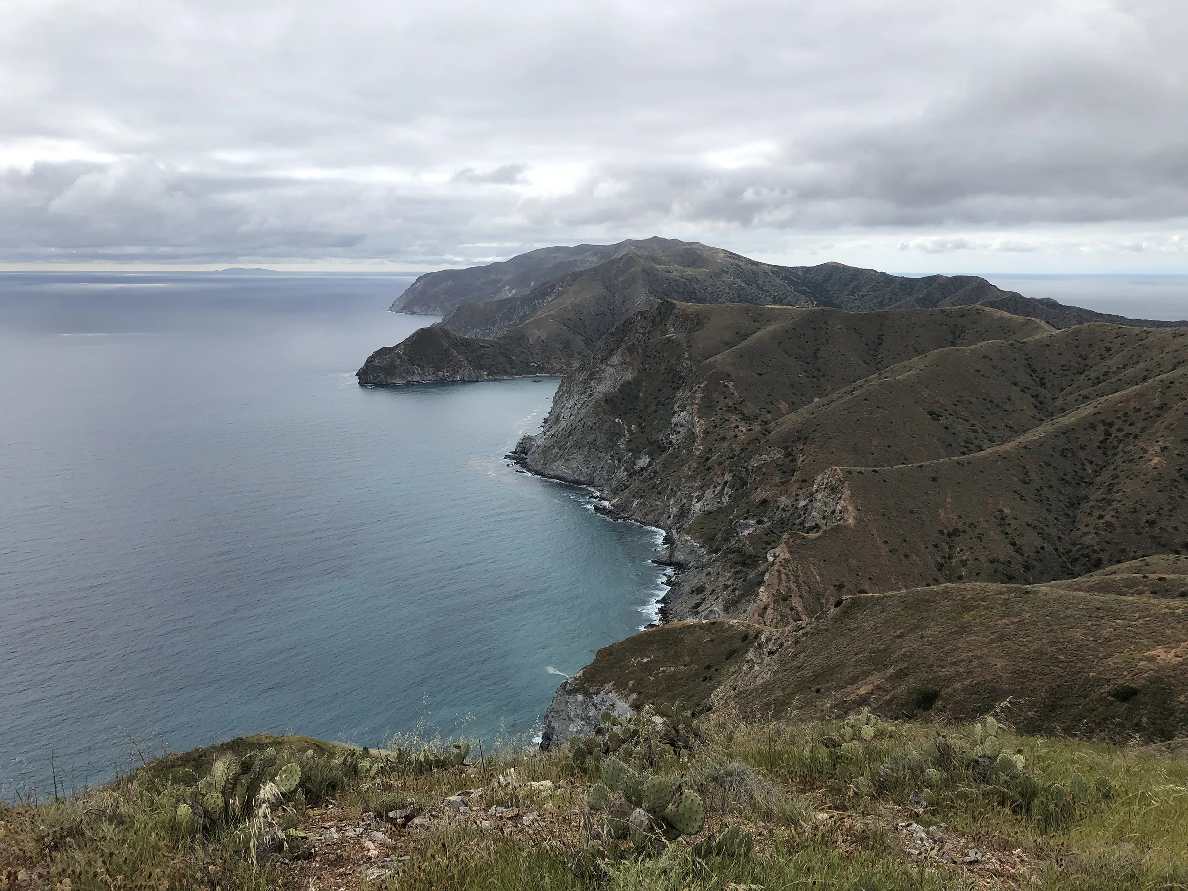 Trans-Catalina Trail-0825.jpg