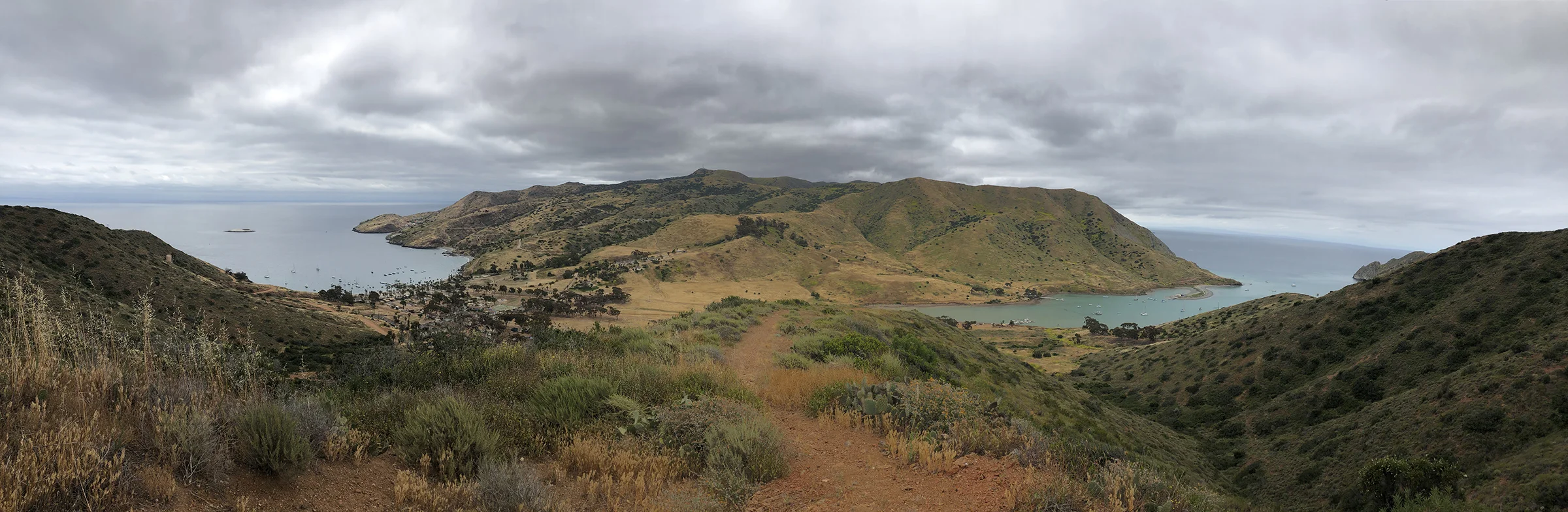 Trans-Catalina Trail-0837.jpg