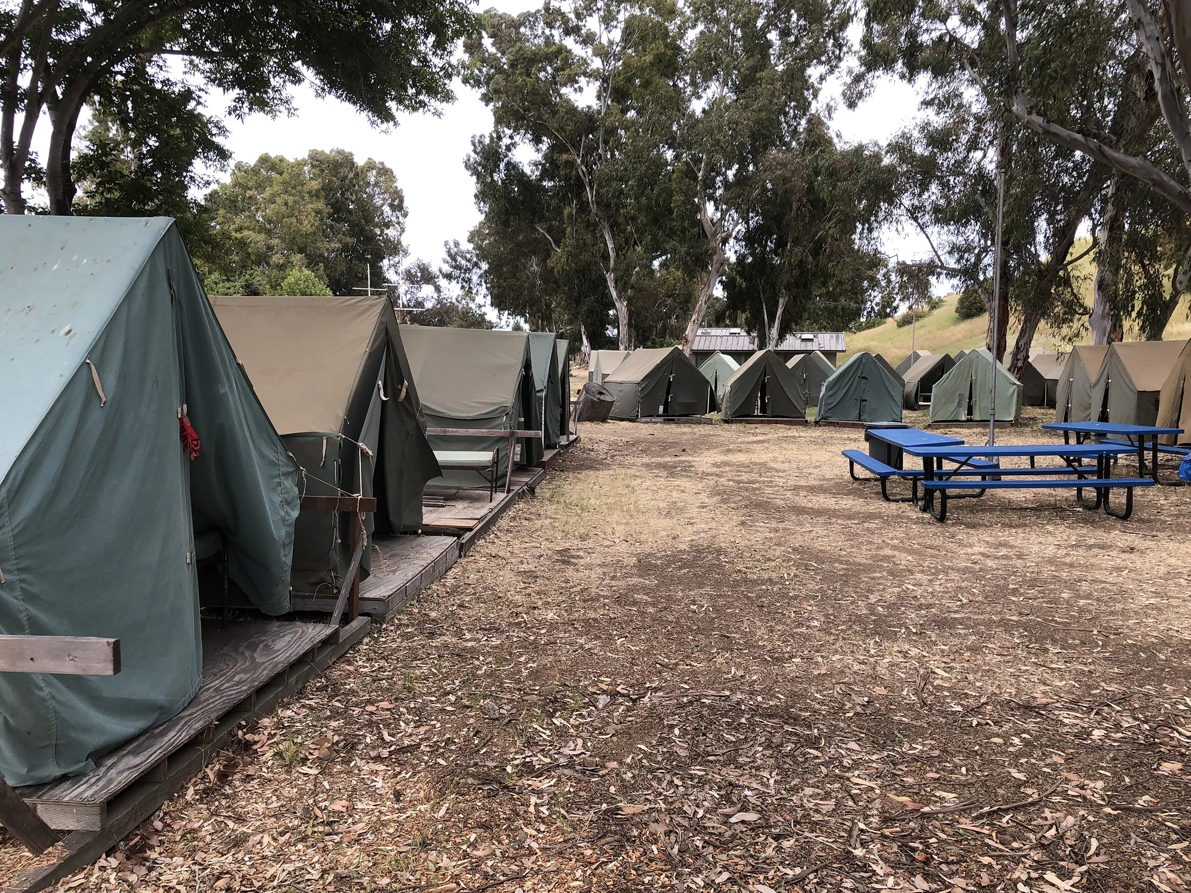 Trans-Catalina Trail-0898.jpg