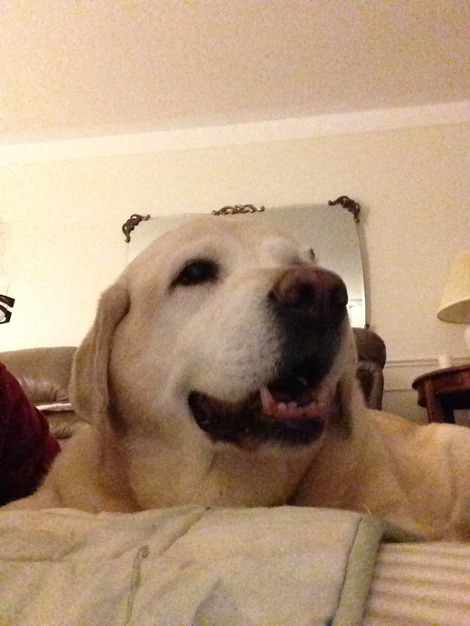 Iphone pics - random 046.JPG