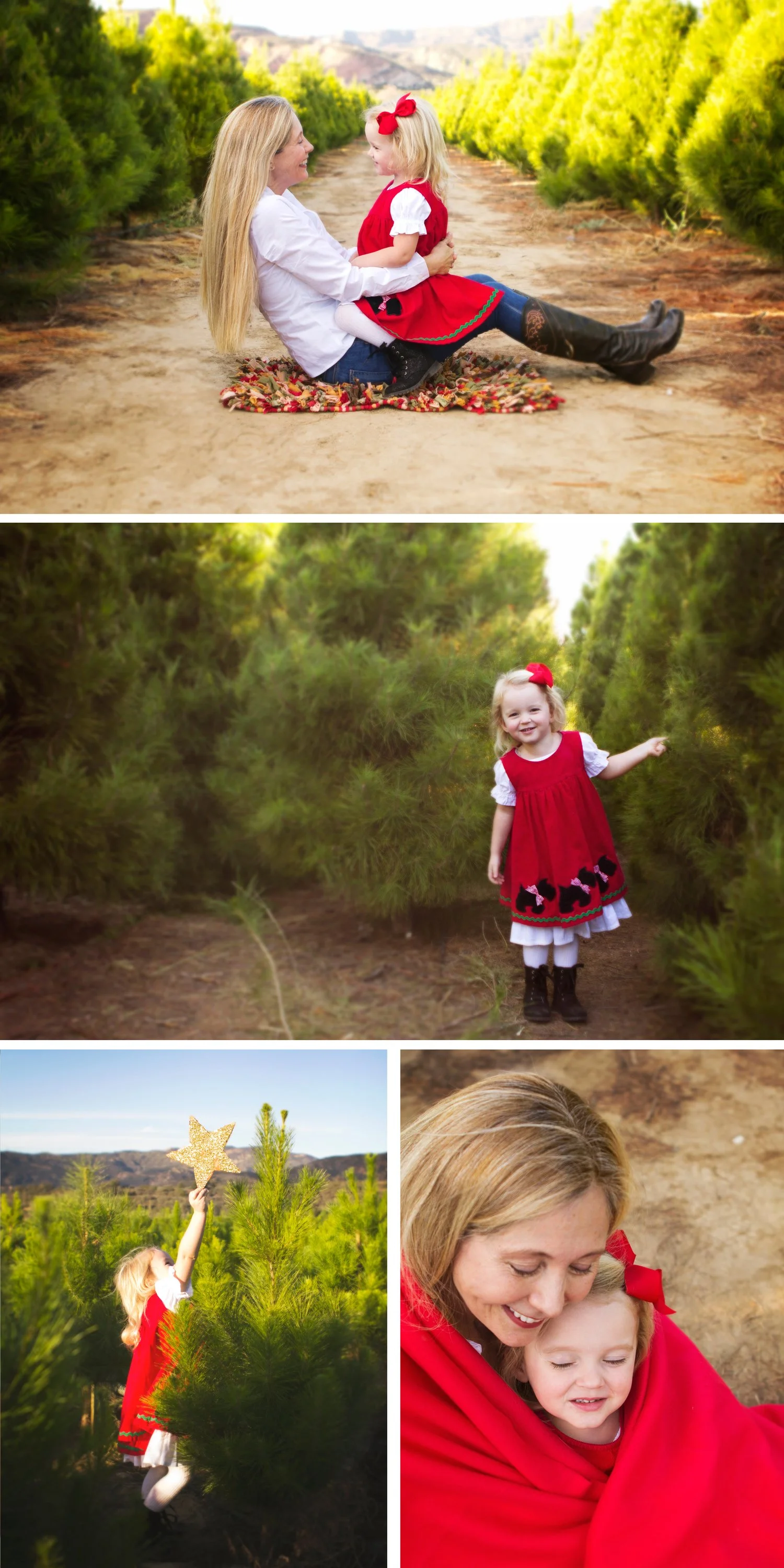 Christmas at Peltzer Pines