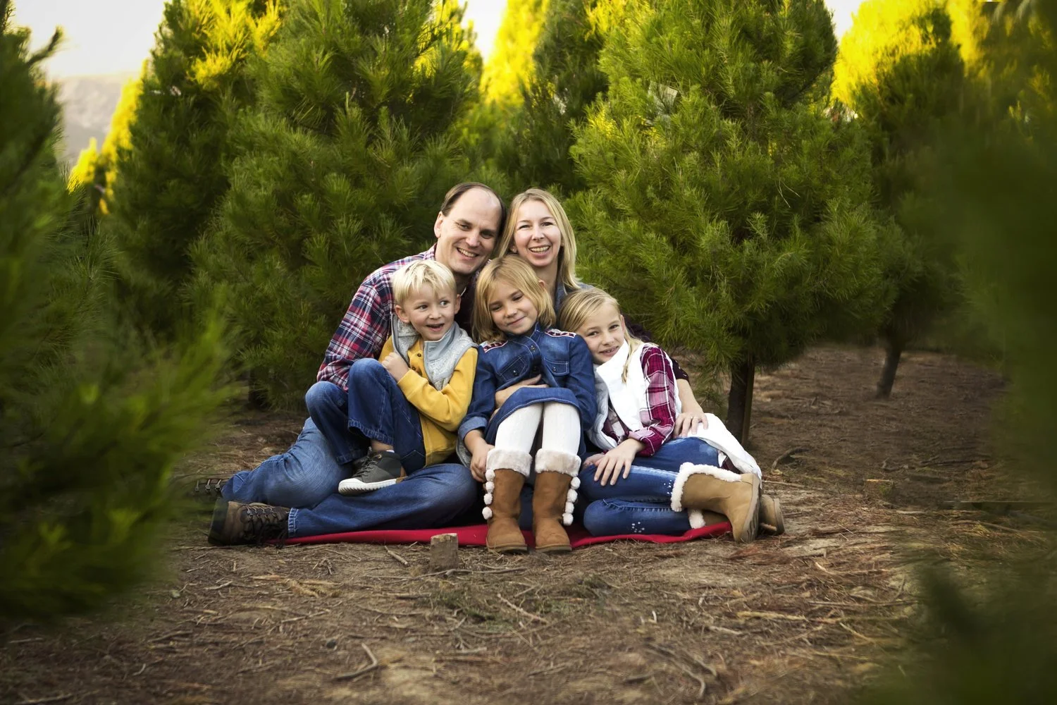Tis the season | Christmas Tree Mini Session Photographer