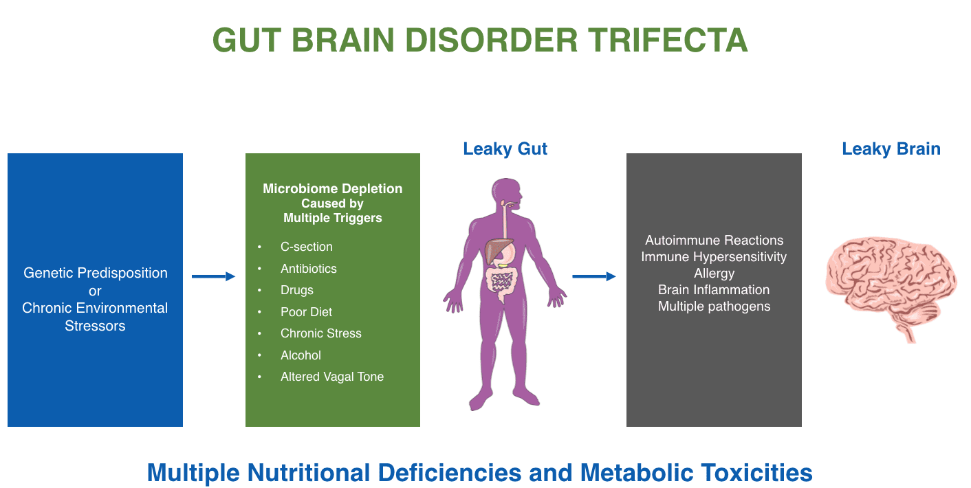 Gut Brain Trifecta.png