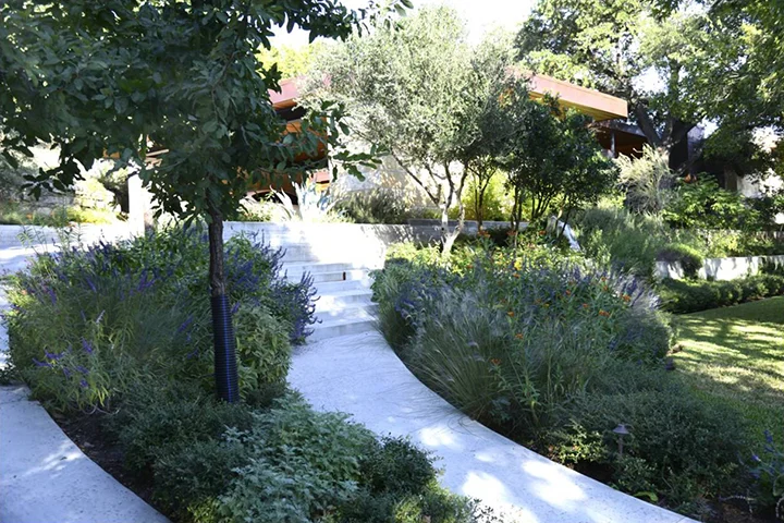Picture2.jpg
