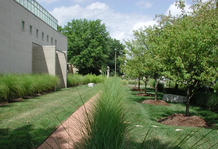 Website CRC 3.jpg