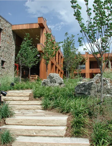 Website Copy of Stair with House 85x11.jpg