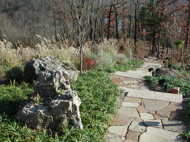 Website Walk in Winter.jpg