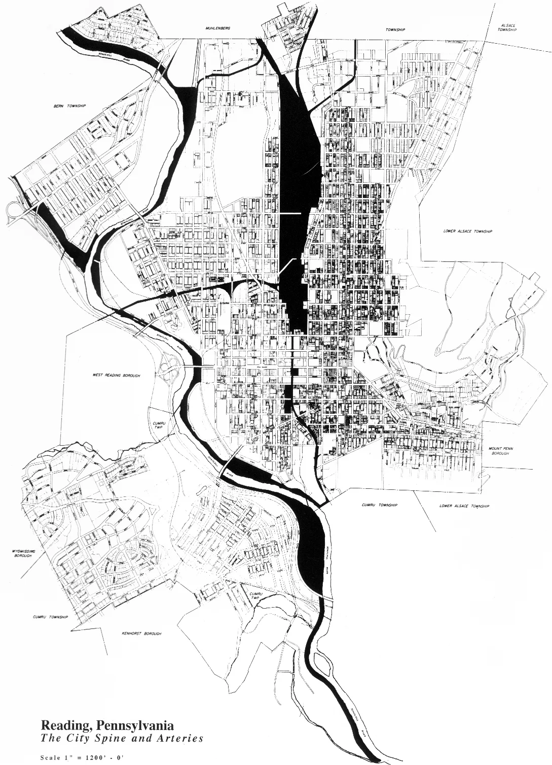 p3.jpg