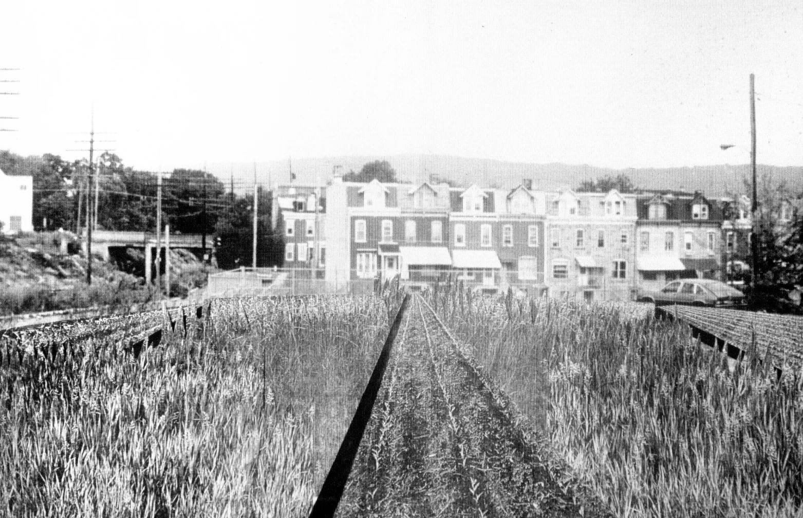 p5.jpg
