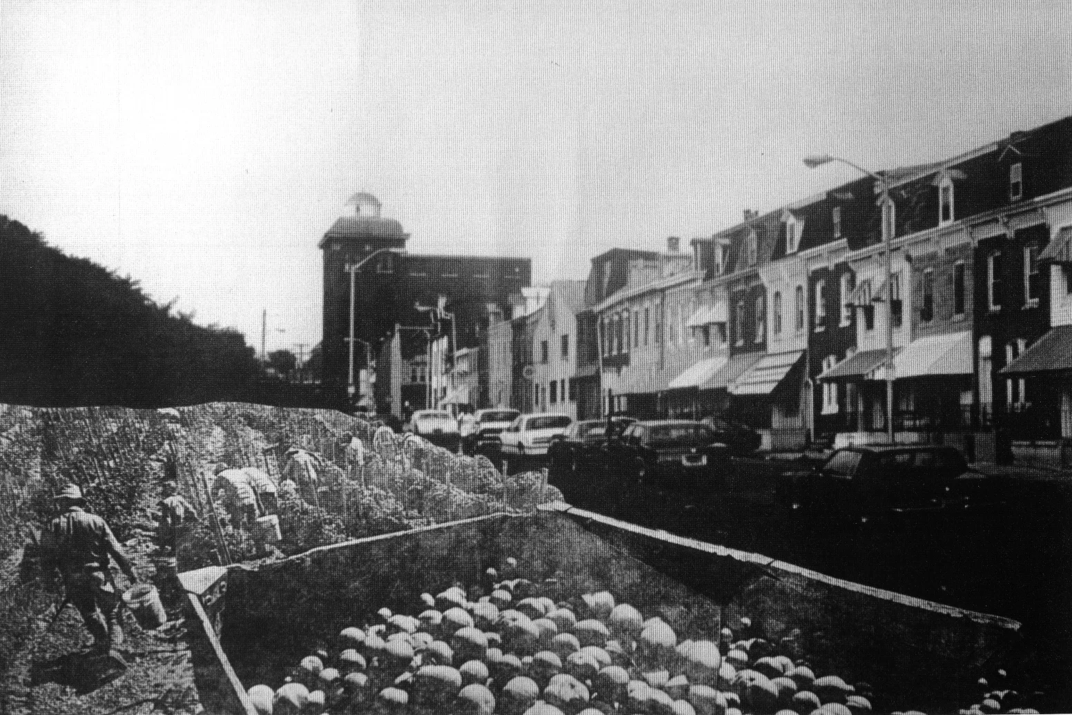 p4.jpg