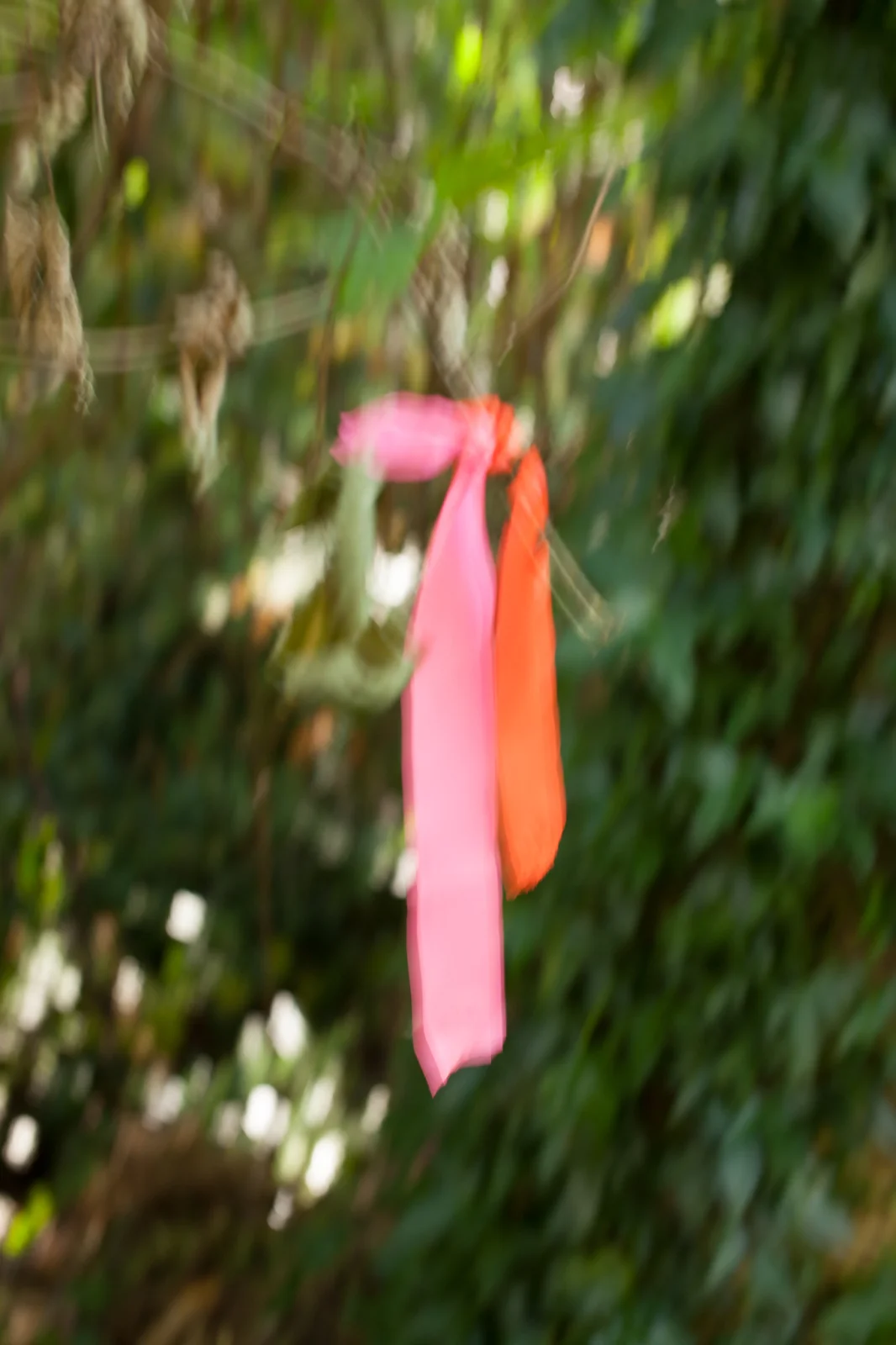 Powell River Ribbon.jpg