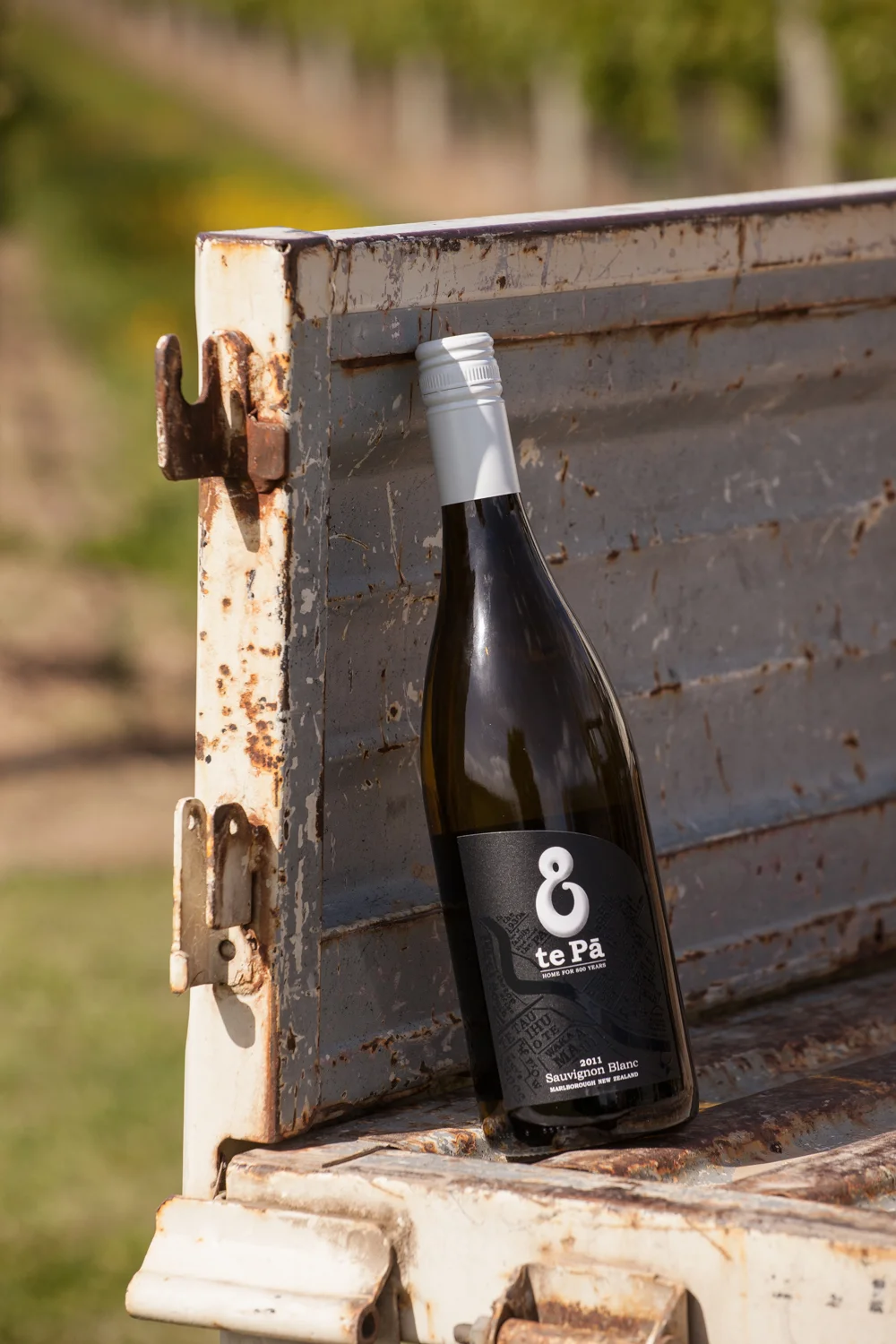 Te Pa Landscape-1-2.jpg