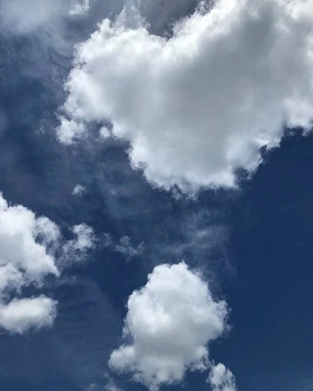 #sky #freedom #iphonephotography #newzealand