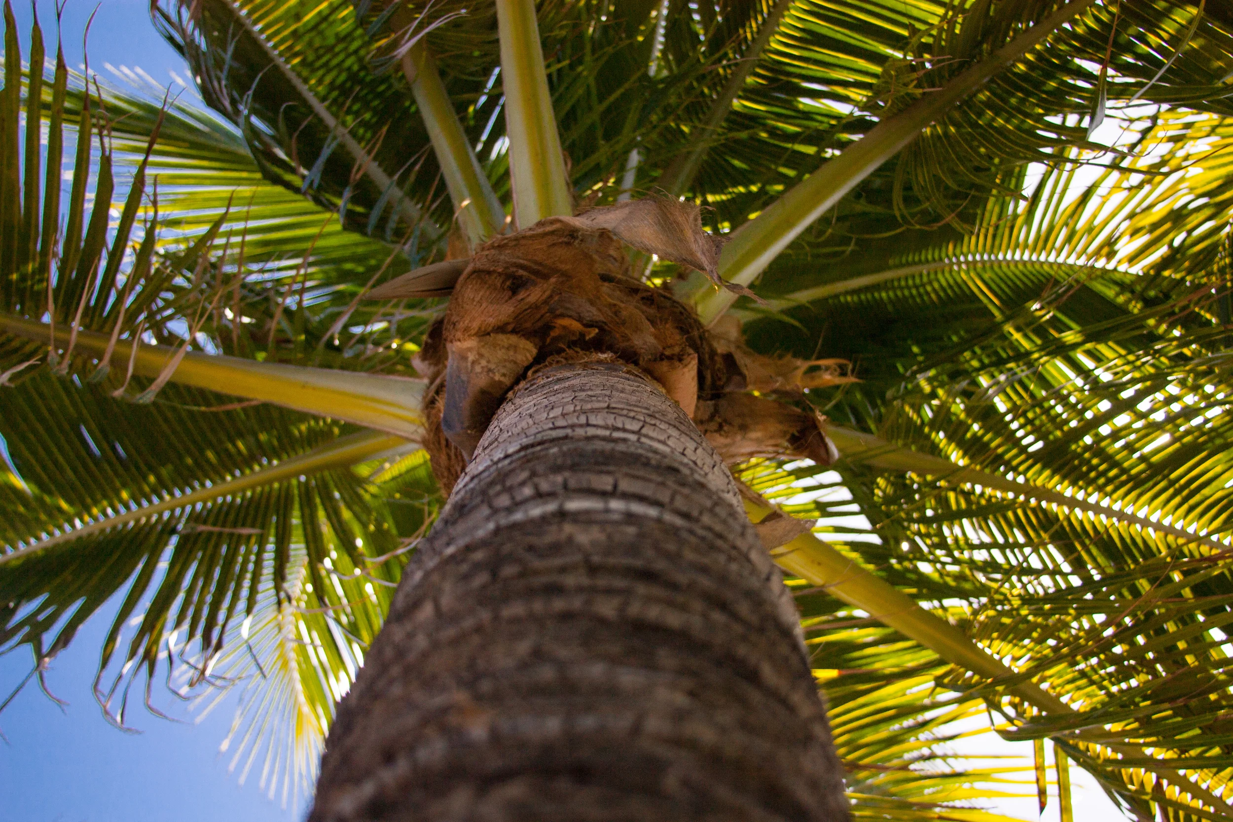  West Palm Beach&nbsp; 