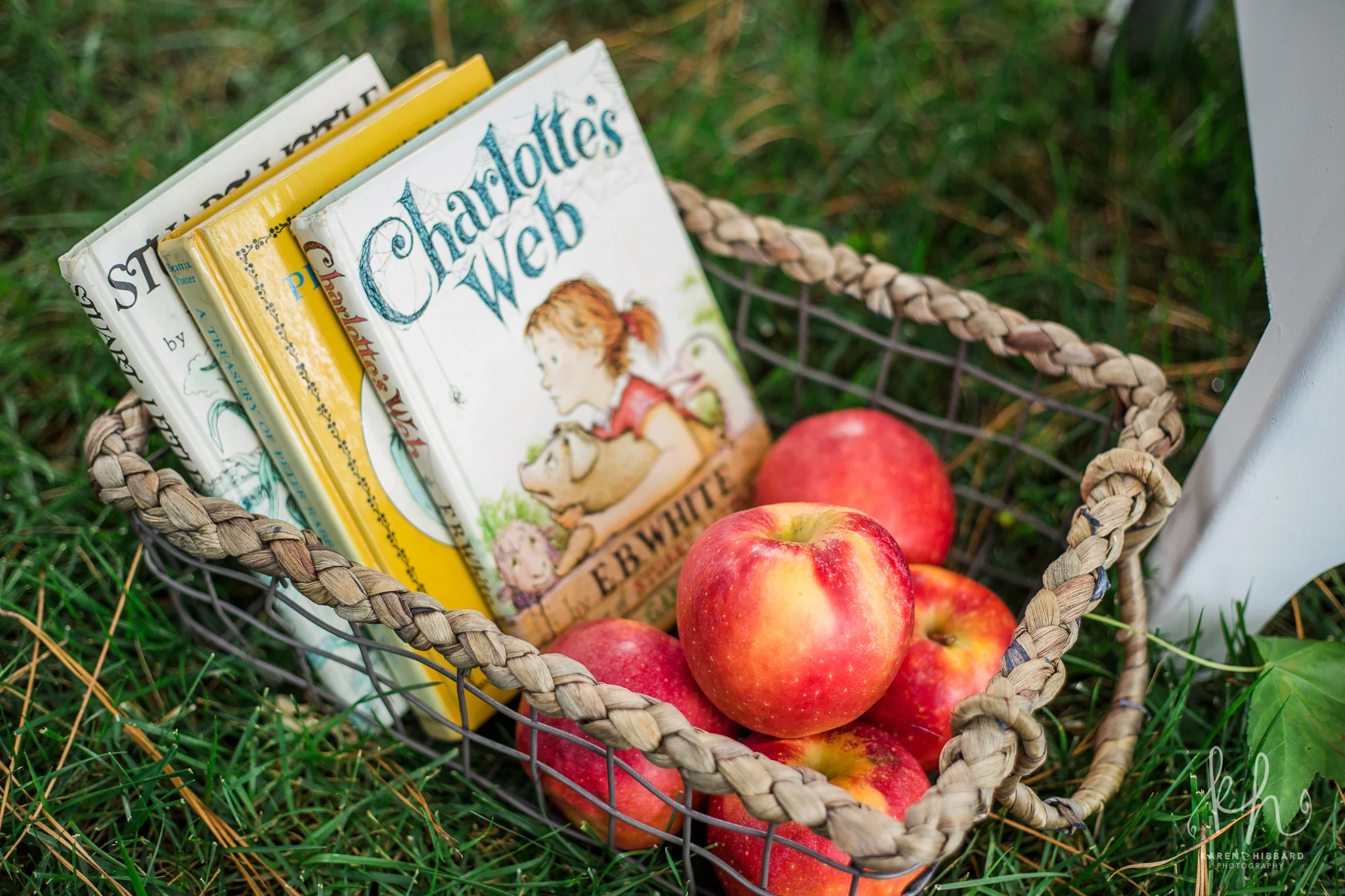 I used these three books in a basket (TJ Maxx) and put the Bobbsey Twin set in the inside of the desk to add detail. 