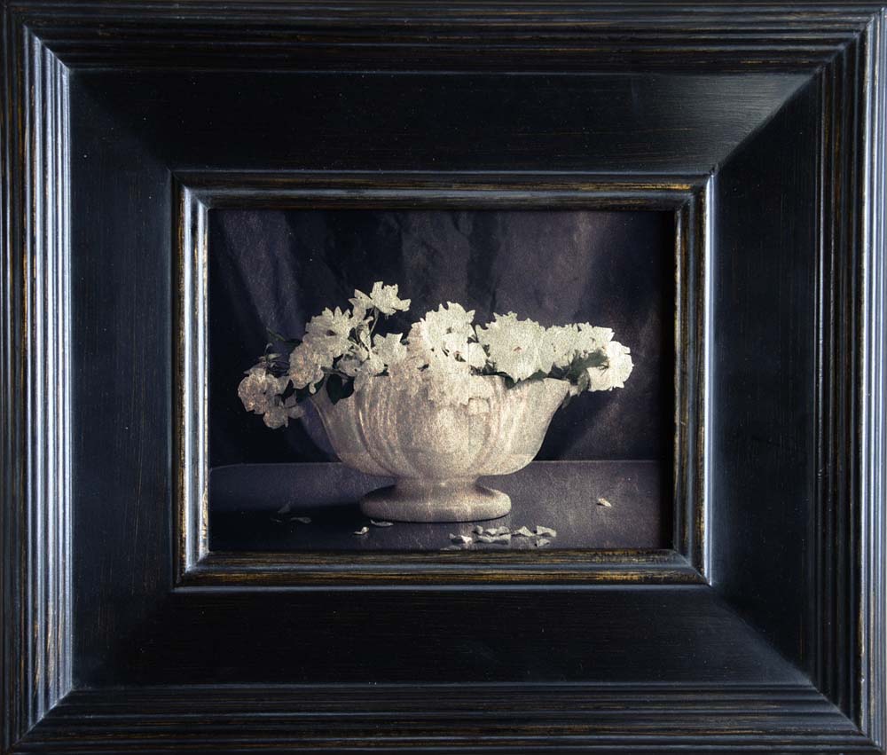 White Vase with Roses