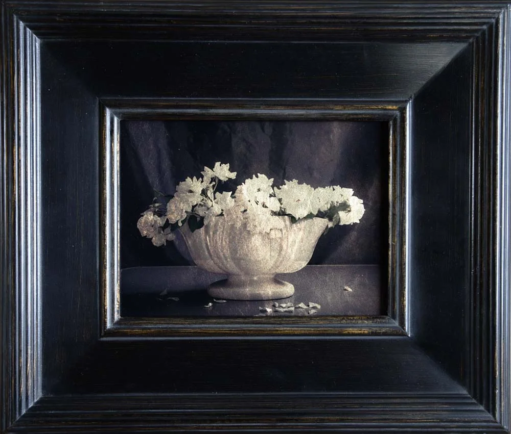 White Vase with Roses