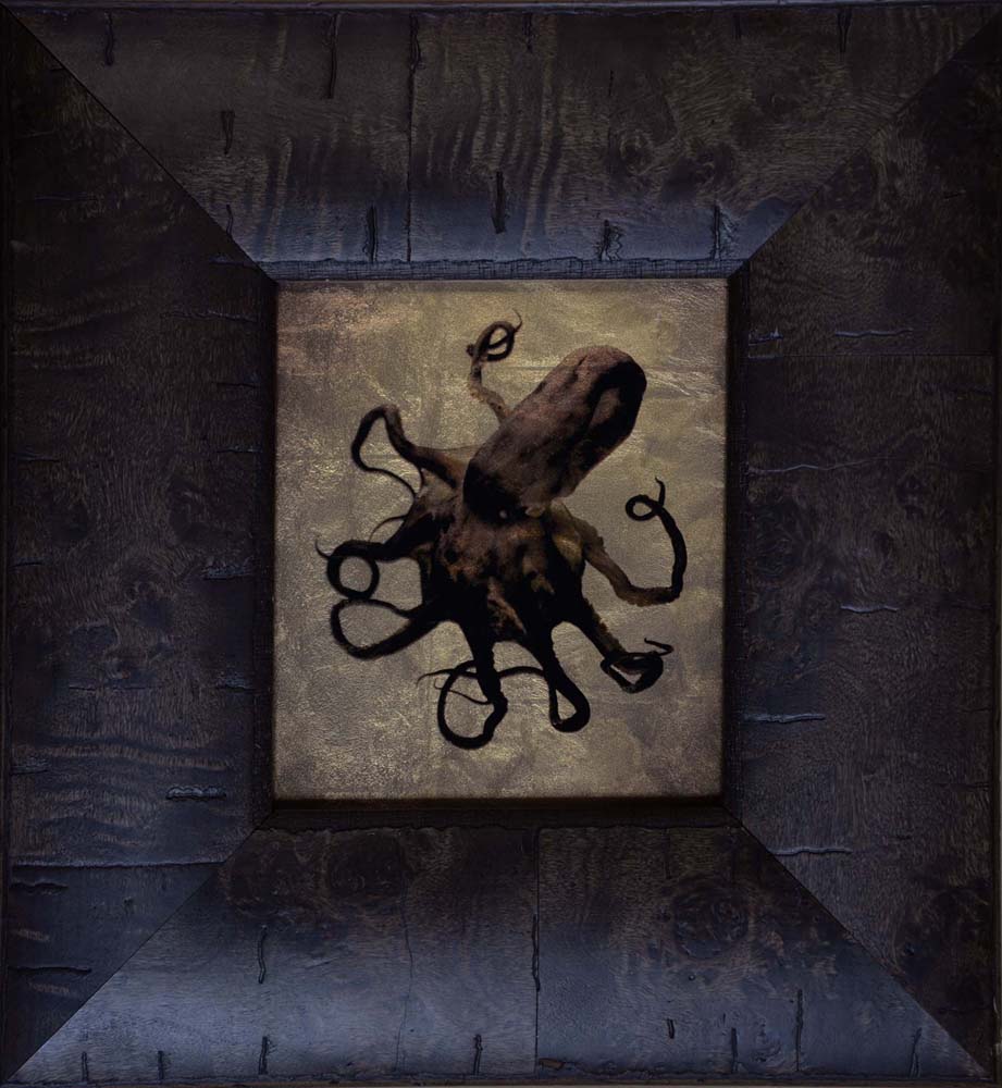 Octopus