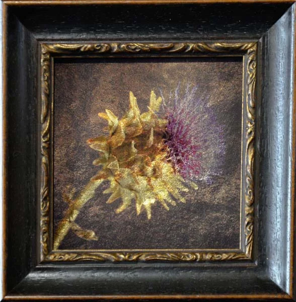 Scotch Thistle I