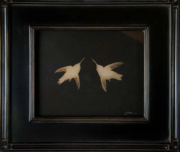 Pair of Broad-tailed Hummingbirds