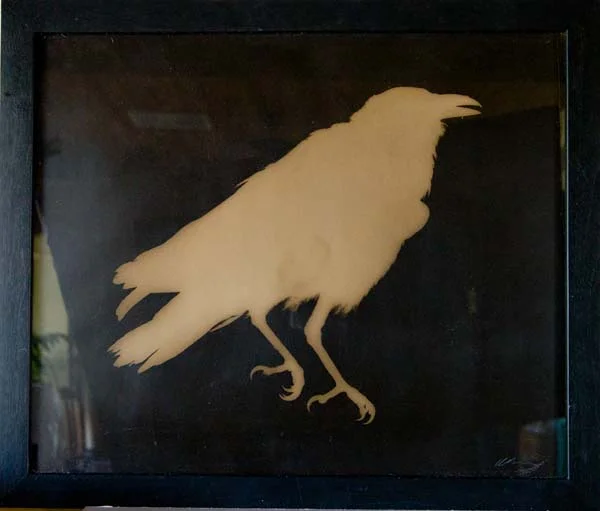 Raven