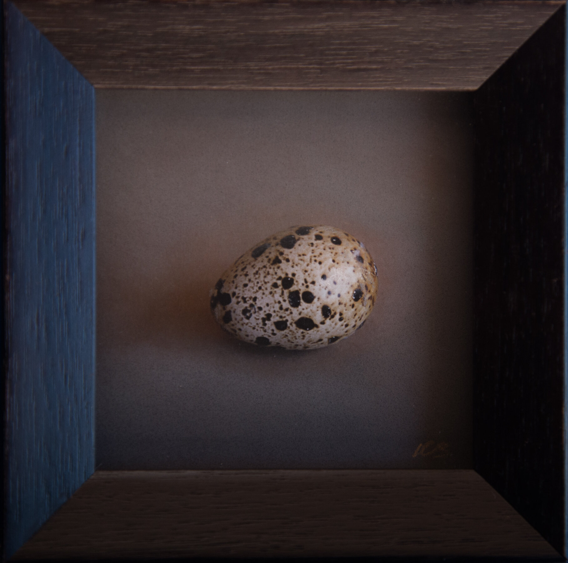 Quail Eggs — Kate Breakey