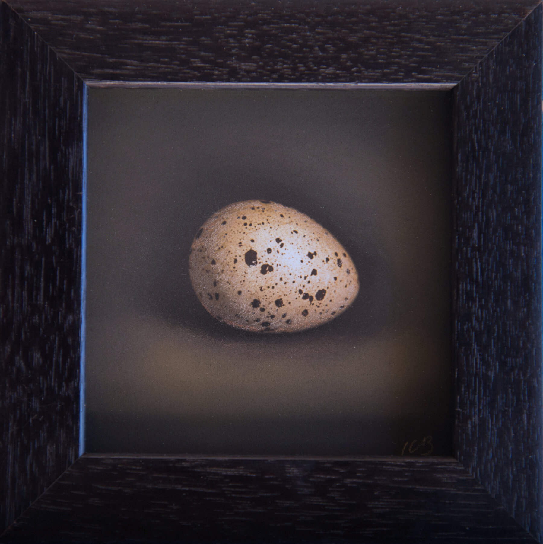 Quail Eggs — Kate Breakey