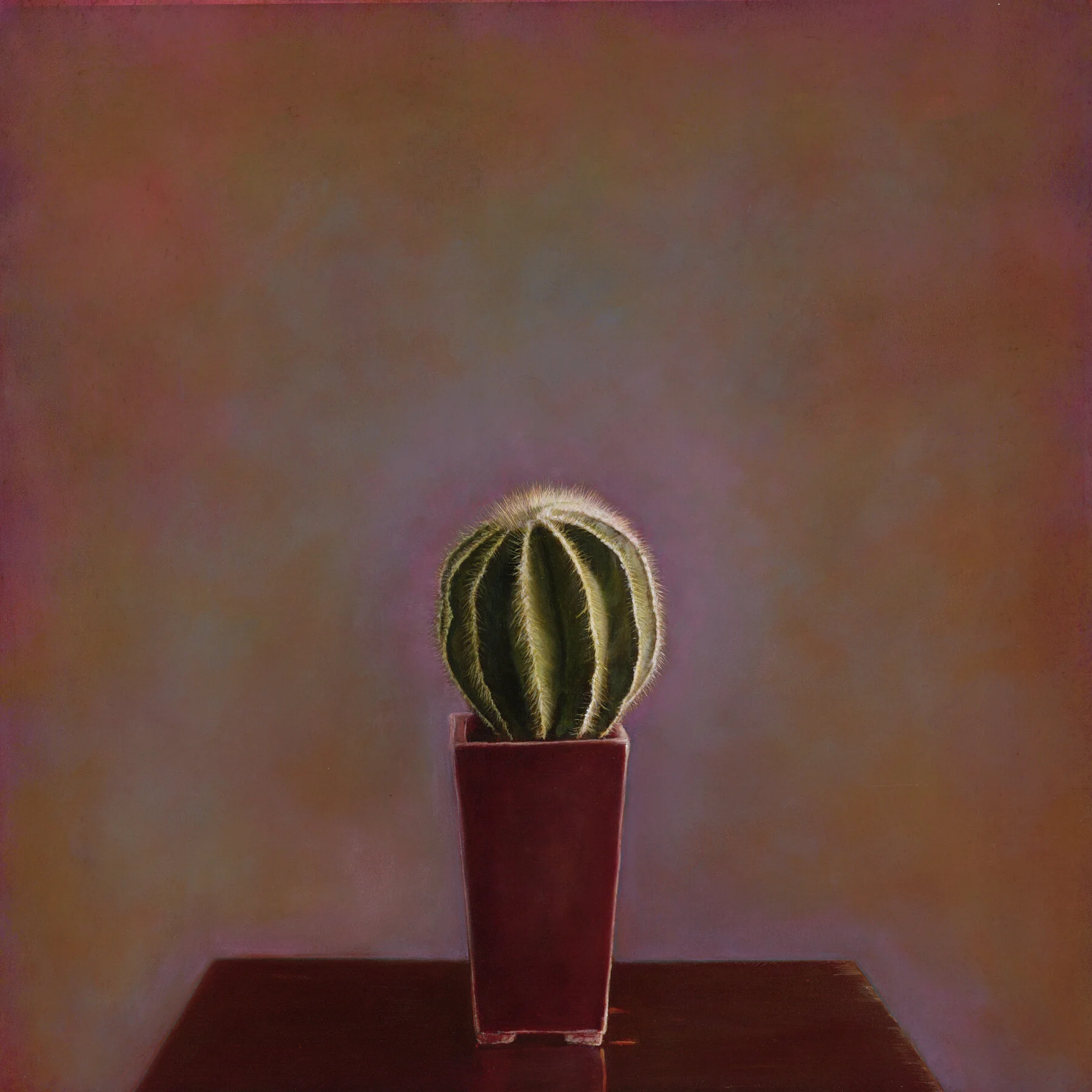 Cactus I