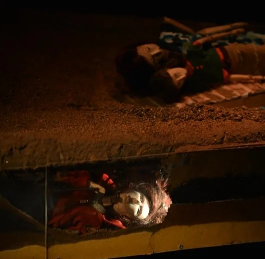 Shank 130216 Clouded Sulphur 339.jpg